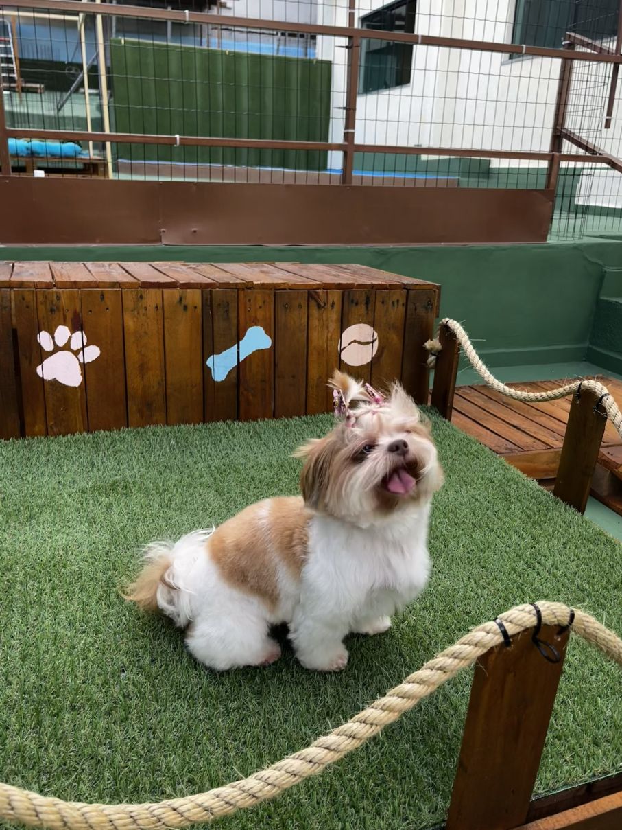 Instalações da creche