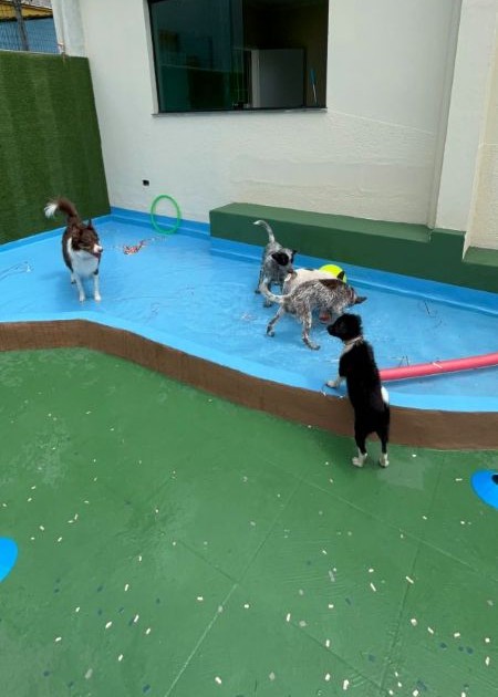 Mais momentos especiais